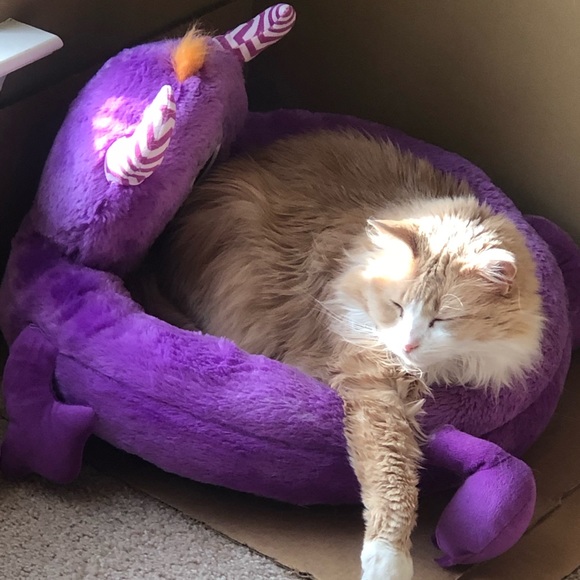 Meet your Posh Ambassador, Jennifer - Picture 7 of 13